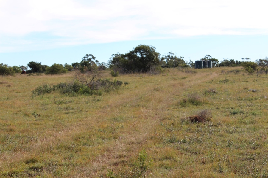 1 Bedroom Property for Sale in Bathurst Rural Eastern Cape